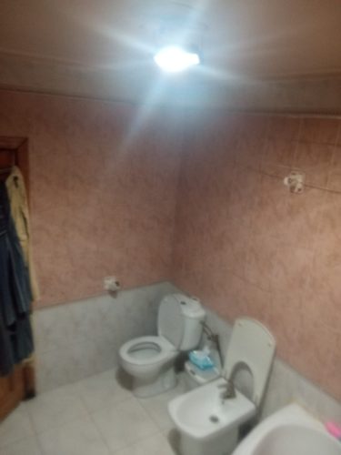 1000099686