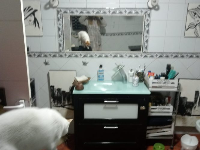 IMG-20240227-WA0046