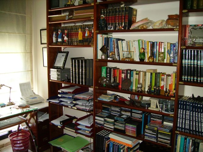 IMG-20241224-WA0016