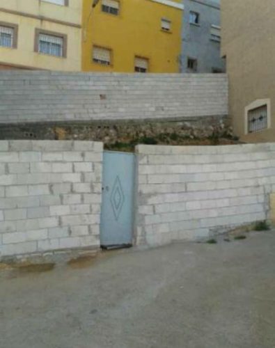 IMG-20260313-WA0002 (1)